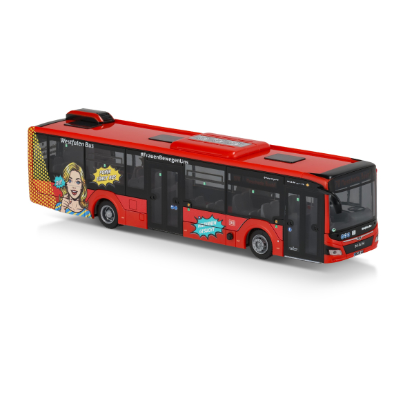 32501553.jpg